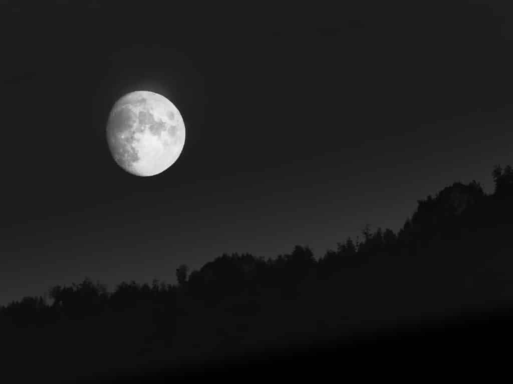 The Spotlight: full moon shining brightly above a wooded hill