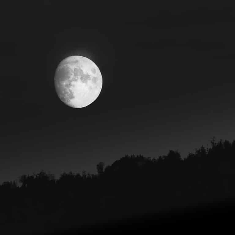 Spotlight: full moon shining brightly above a wooded hill