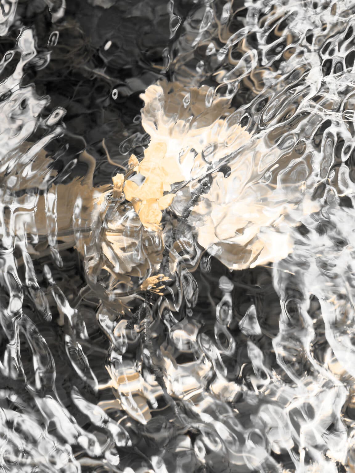 Allegro: abstract photography of water surface