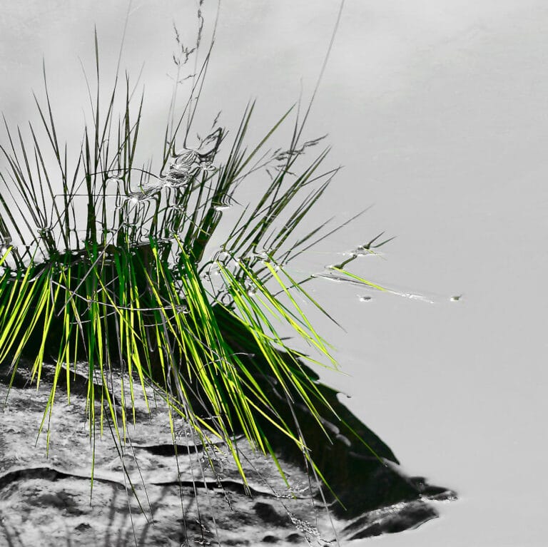 a stone with grass in the water, looking like floating through the air