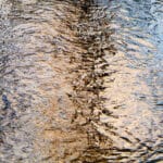 Copper Bells: abstract photography of water surface
