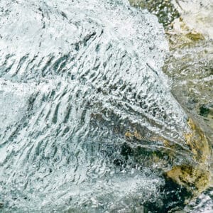 structures in water looking like a galloping horse