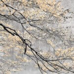 Gratitude: tree branches with orange colored leaves