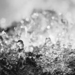 Heading for Venus: fine art photography of splashing water drops