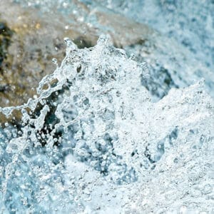Hippocamp: structures in water looking like a seahorse