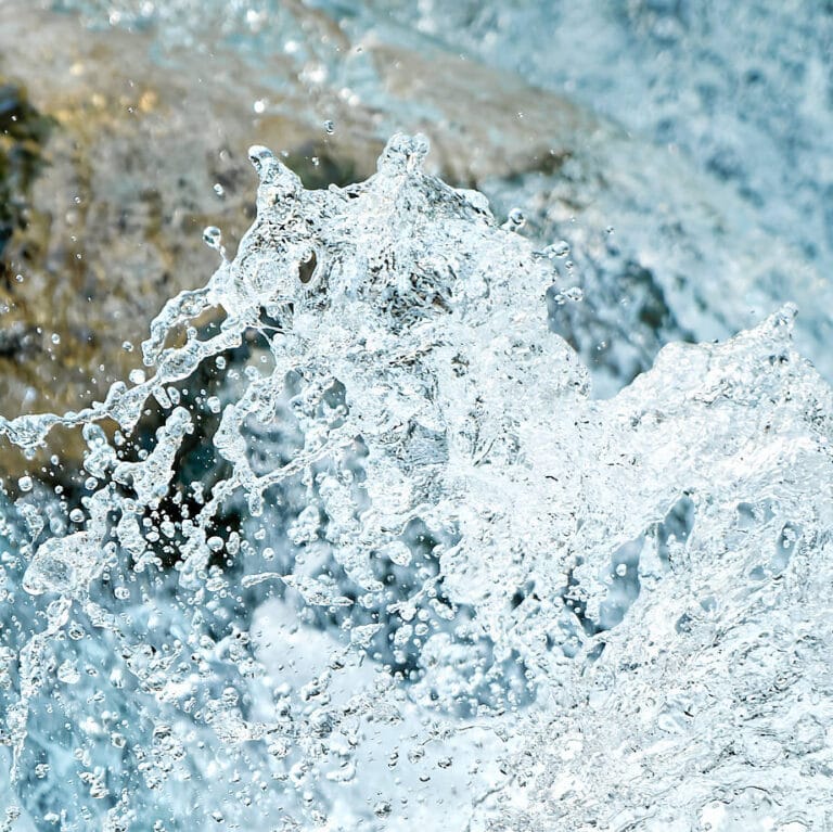 Hippocamp: structures in water looking like a seahorse