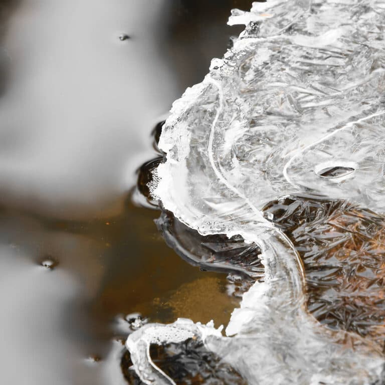 ice on water, looking like the ice wall of Antarctica