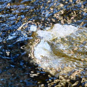 Maestoso: abstract photography of water surface