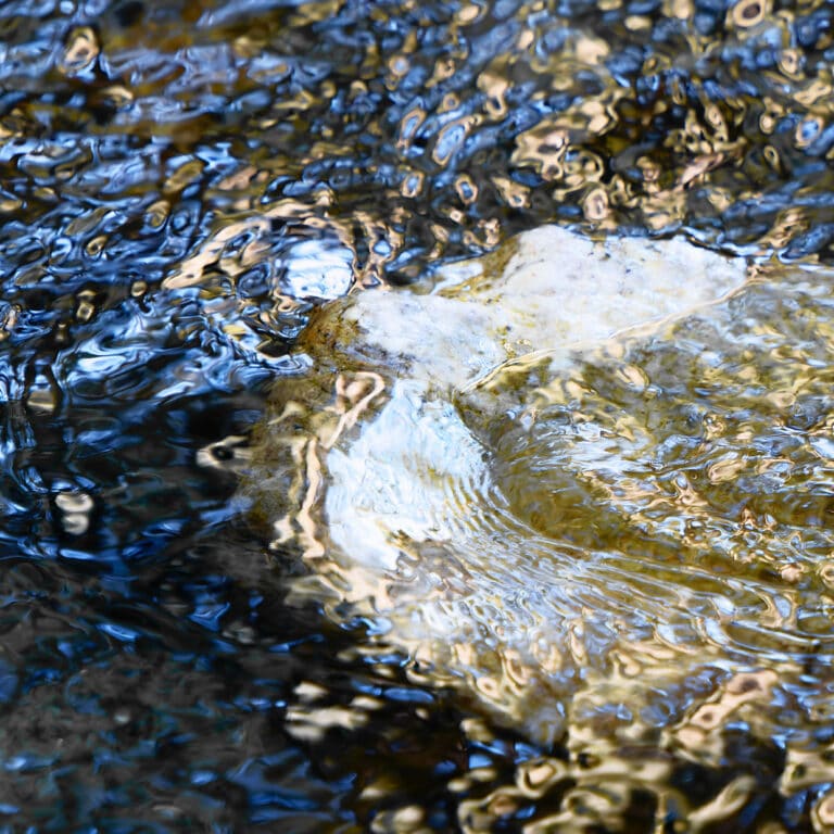 Maestoso: abstract photography of water surface