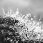 fine art photography of splashing water drops looking like the Mare Imbrium on the moon