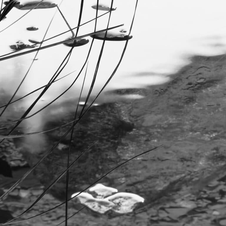 grass and pebbles in water, looking like mercury drops