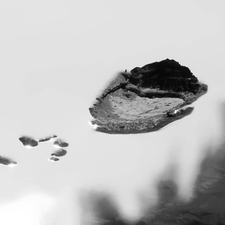 Mirage: pieces of wood in the water, looking like floating through the air