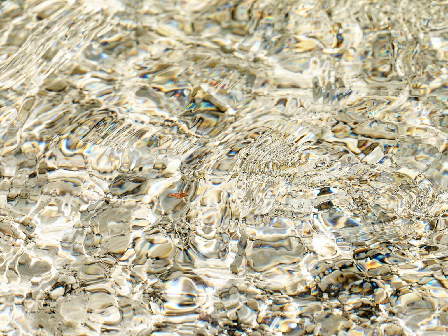 structures and patterns on water surface looking like a mosaic