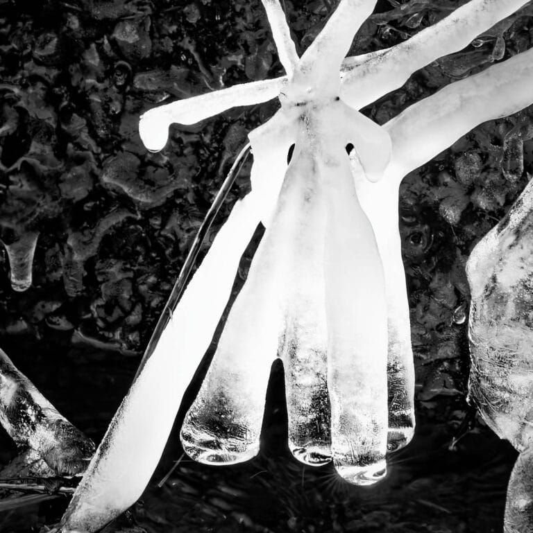 icicles in a river, looking like the Northern Star