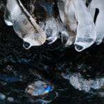 icicles in a river, looking like orcas at play