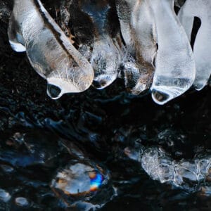 icicles in a river, looking like orcas at play