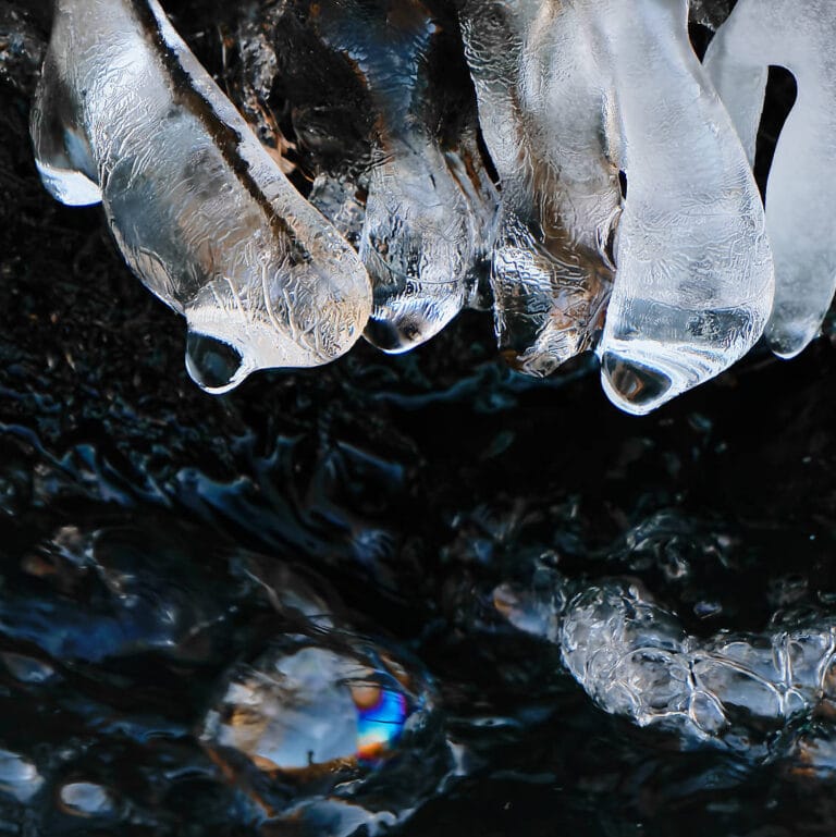 icicles in a river, looking like orcas at play