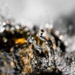 fine art photography of splashing water drops looking like the Pillars of Creation Nebula