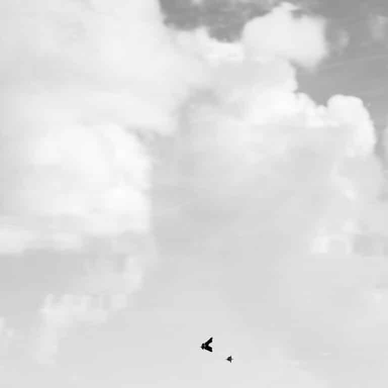reflections of clouds and pieces of wood in the water, looking like sky birds