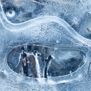 structures in ice, looking like someone was swallowed by a whale
