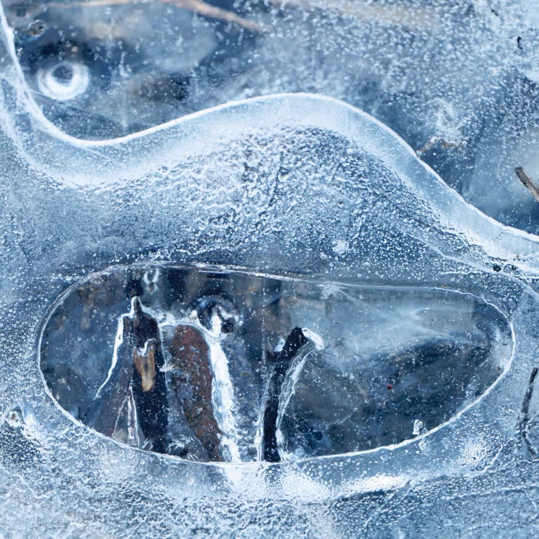 structures in ice, looking like someone was swallowed by a whale
