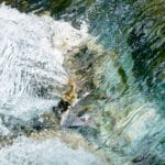 structures in water, looking like a herd of wild horses running untamed
